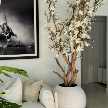 Árbol de magnolia blanca en macetero esférico blanco brillante de 30″