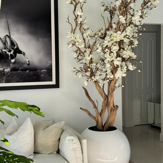 Árbol de magnolia blanca en macetero esférico blanco brillante de 76 cm